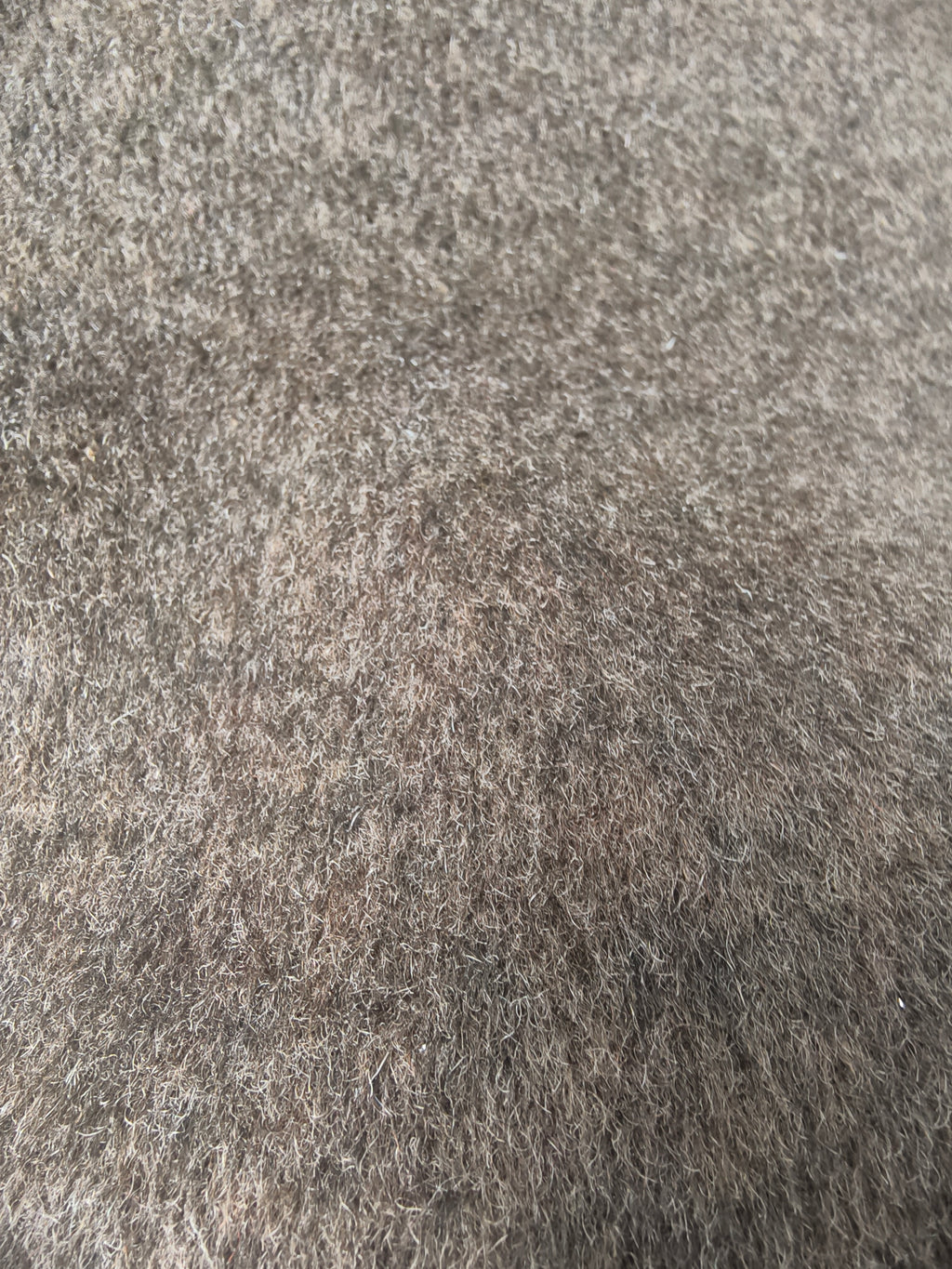 Brushed double-faced knit with wool – M93862