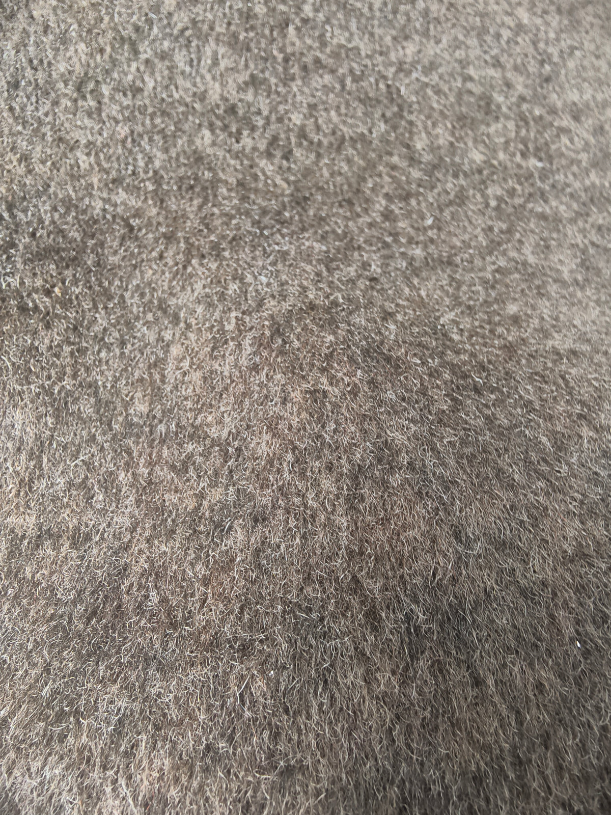 Brushed double-faced knit with wool – M93862
